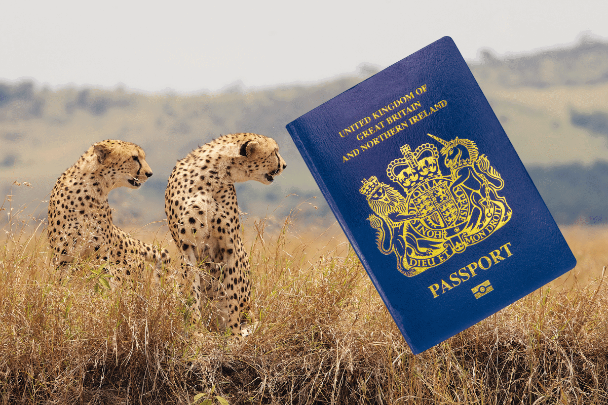 british-passport-renewal-guides-my-british-passport