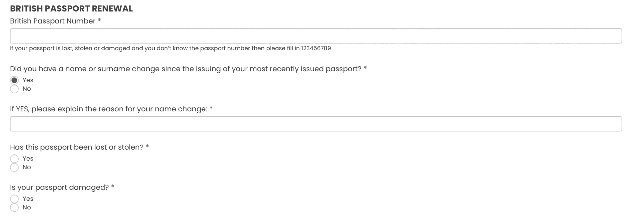 uk passport name change screenshot of application