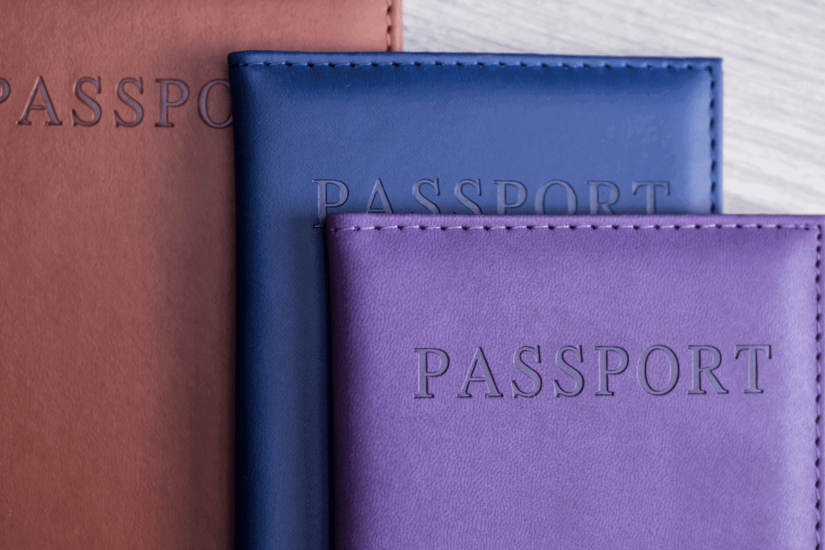 British Passports with covers