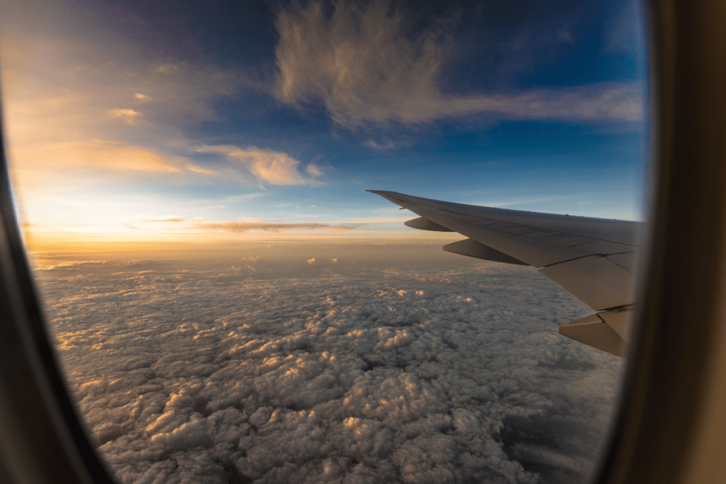 Airplane - person applying for UK passport